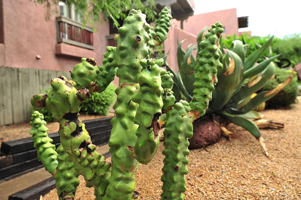 Hilton Vacation Club Rancho Manana Hotel Cave Creek Luaran gambar